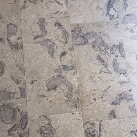 Bitlis Fossil.jpg